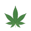 Cannabis Leaf icon by Cloud Legends 420