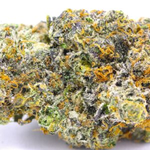 Berner's Cookies from Enterprize Exotics by Cloud Legends 420