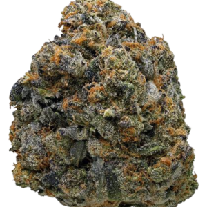 Thin Mint Cookies by Enterprize Exotics from Cloud Legends 420