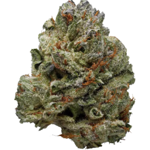Gucci OG by Enterprize Exotics from Cloud Legends 420