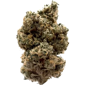 Lazy by Enterprize Exotics from Cloud Legends 420