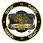 Enterprize Exotics logo from Cloud Legends 420